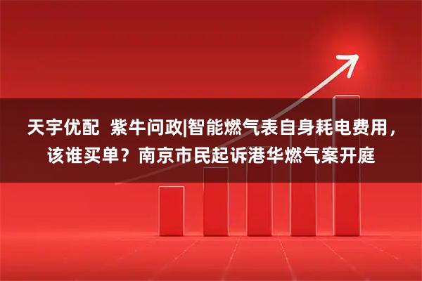 天宇优配  紫牛问政|智能燃气表自身耗电费用，该谁买单？南京市民起诉港华燃气案开庭