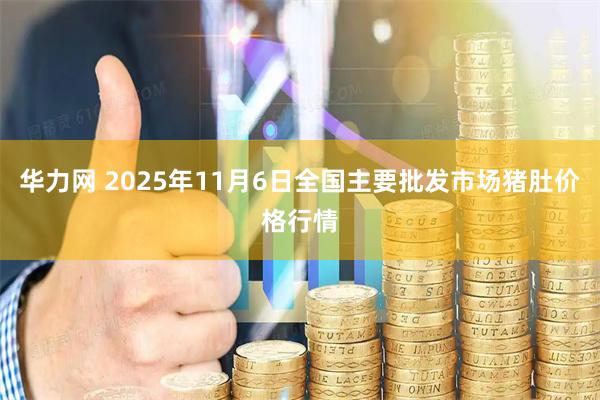 华力网 2025年11月6日全国主要批发市场猪肚价格行情