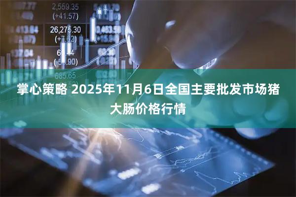 掌心策略 2025年11月6日全国主要批发市场猪大肠价格行情