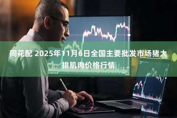 同花配 2025年11月6日全国主要批发市场猪大排肌肉价格行情