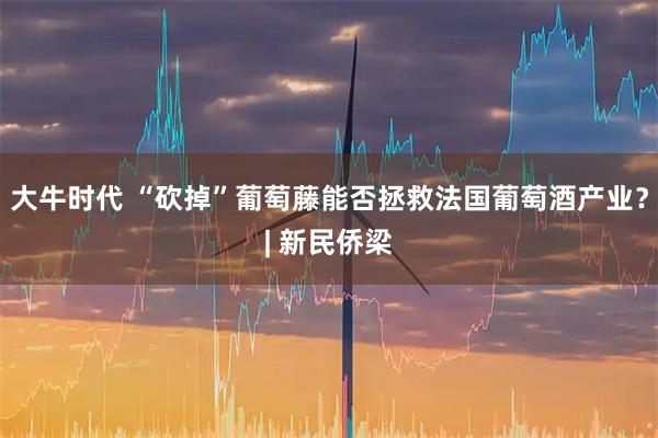 大牛时代 “砍掉”葡萄藤能否拯救法国葡萄酒产业？| 新民侨梁