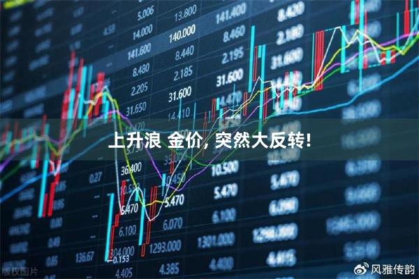 上升浪 金价, 突然大反转!