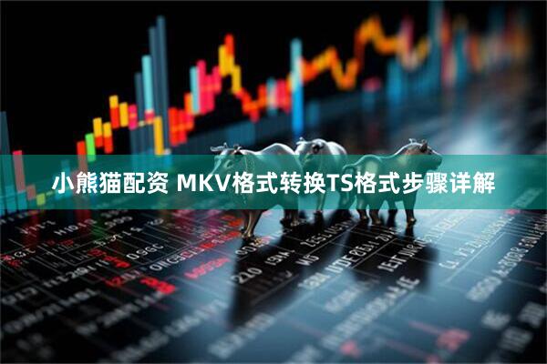 小熊猫配资 MKV格式转换TS格式步骤详解